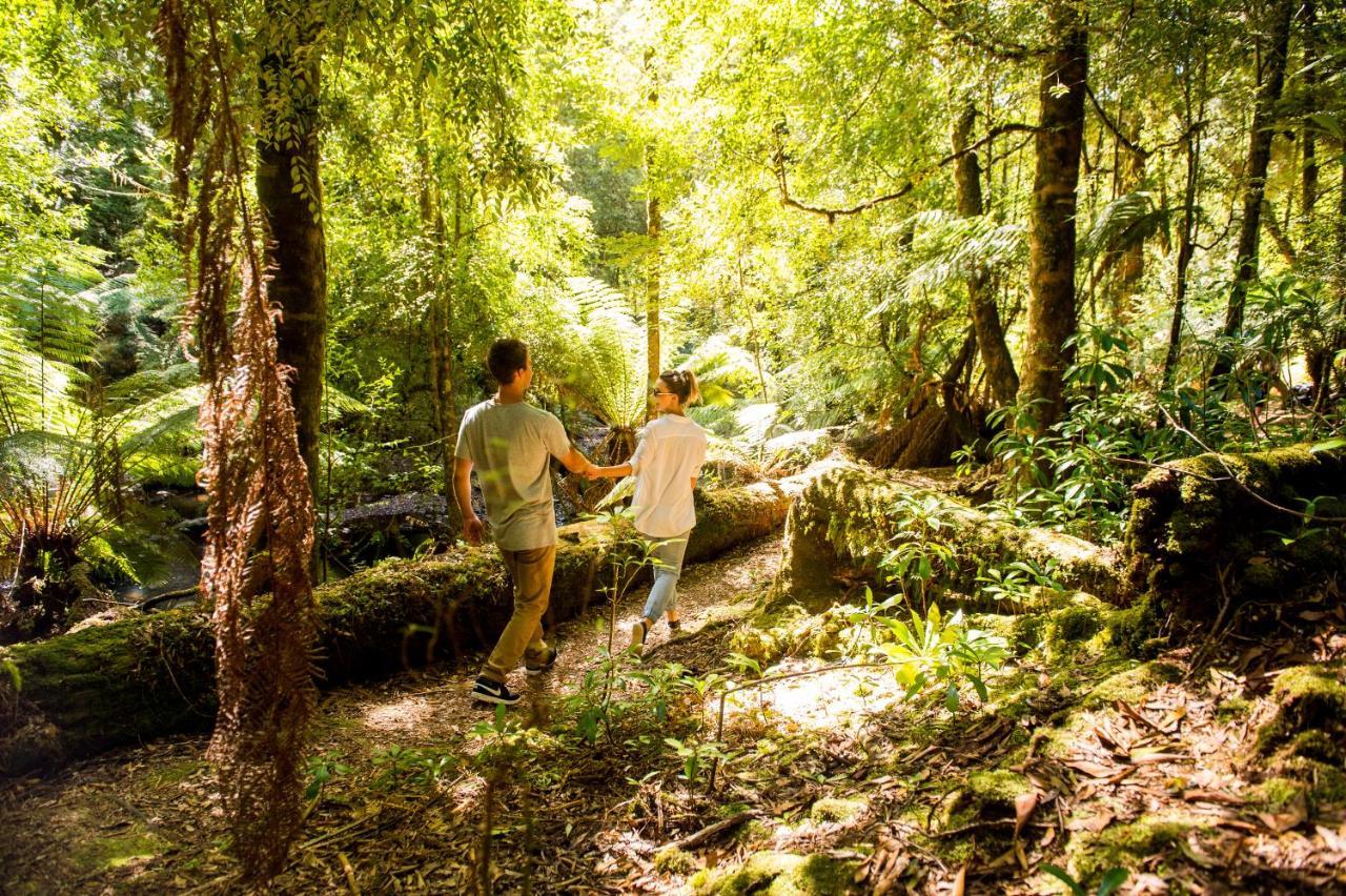 Tall Timbers Tasmania Smithton Extérieur photo